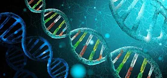 biology-summer-tuition-in-welling-boosting-academic-success-in-summer-2025.jpg
