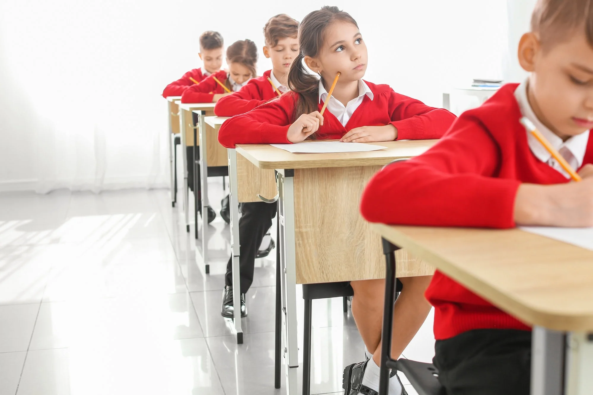 expert-teachers-brain-behaviour.jpg