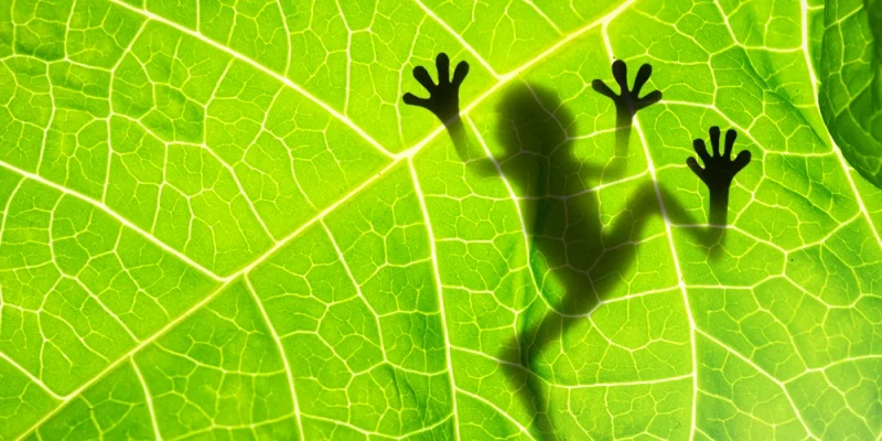 gcse-biology-summer-tuition-in-redbridge-helping-parents-prepare-for-the-new-academic-year.jpg