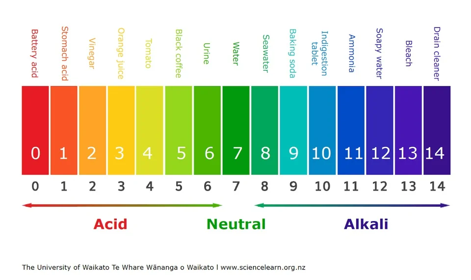 gcse-chemistry-learn-acids-bases-and-salts-in-30-minutes.jpg