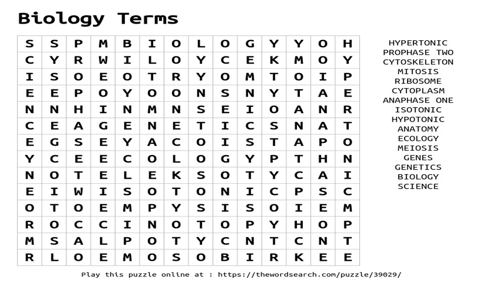 how-to-remember-key-terms-in-gcse-biology.jpg