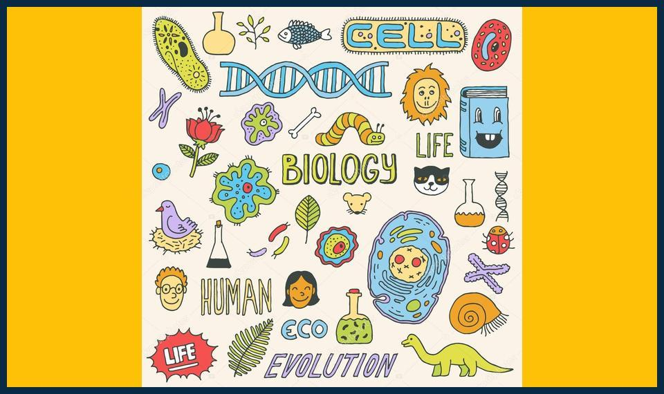 Affordable-and-Effective-biology-tutor-in-Sutton-Near-You.jpg