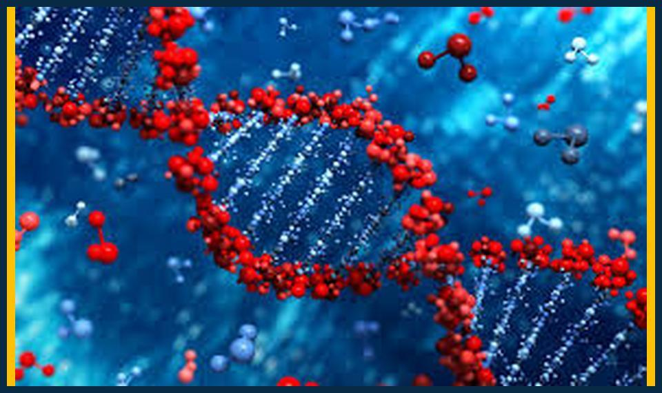 Boost-Your-Results-with-Expert-biology-tutor-in-Eltham.jpg