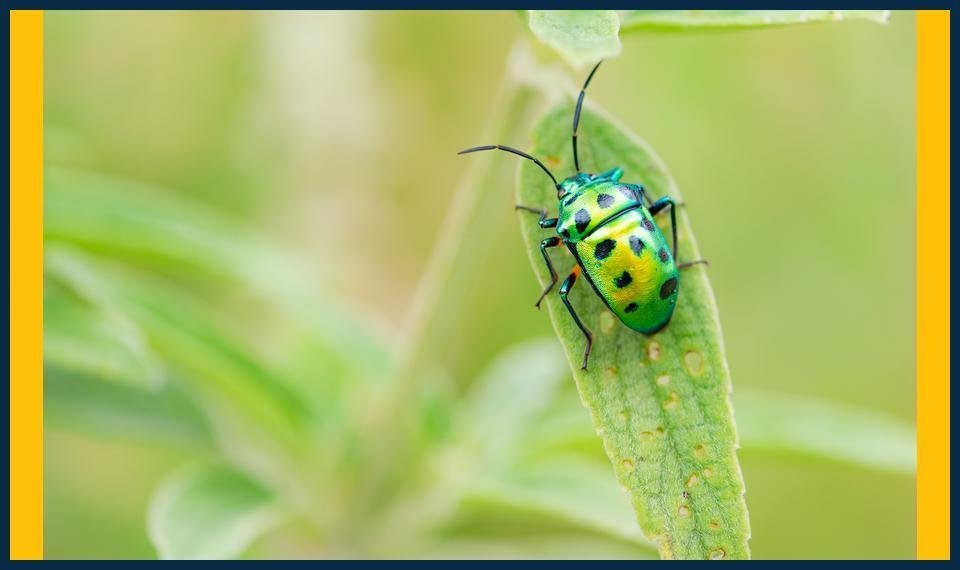 GCSE Biology Summer Tuition Masterclasses Marylebone