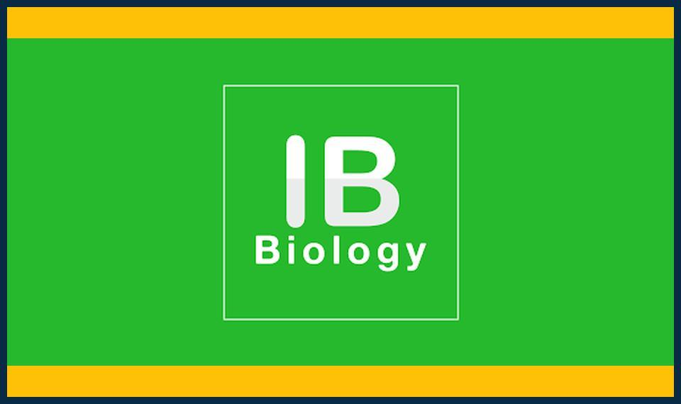 IB Biology tutoring for scientific writing