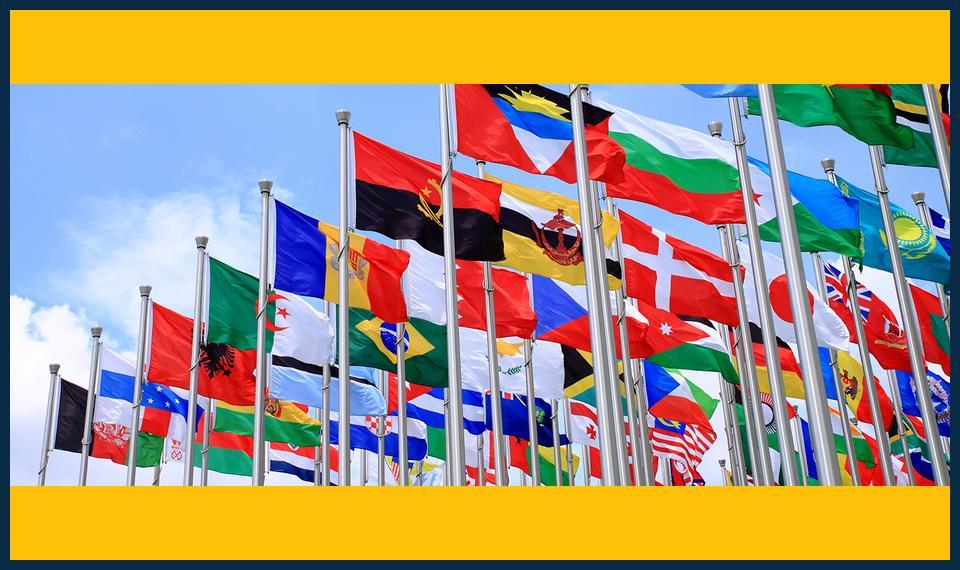 IB Maths Tutors in Chislehurst Confidence Improvement