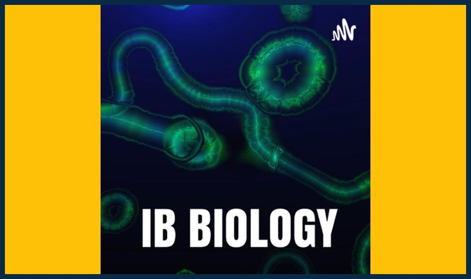 Fun IB Biology Learning Experience