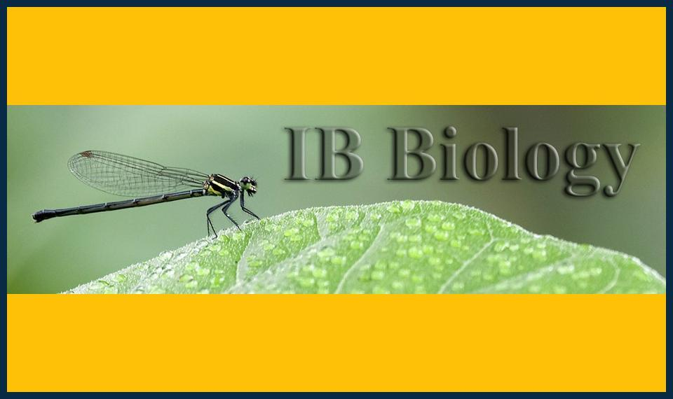 IB Biology Memorization Strategies with Tutor Tips