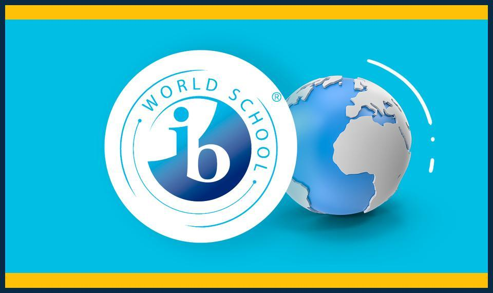 IB Revision Organization Tips
