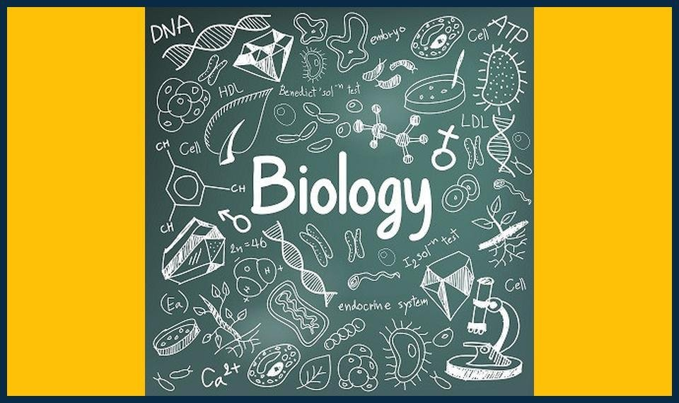 GCSE Biology Summer Masterclasses Havering Enrollment" or "Havering GCSE Biology Summer Masterclasses