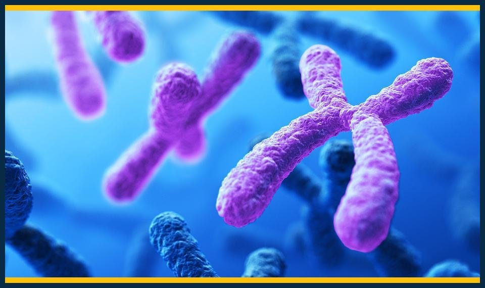 GCSE Biology Summer Masterclasses Isleworth Enrollment