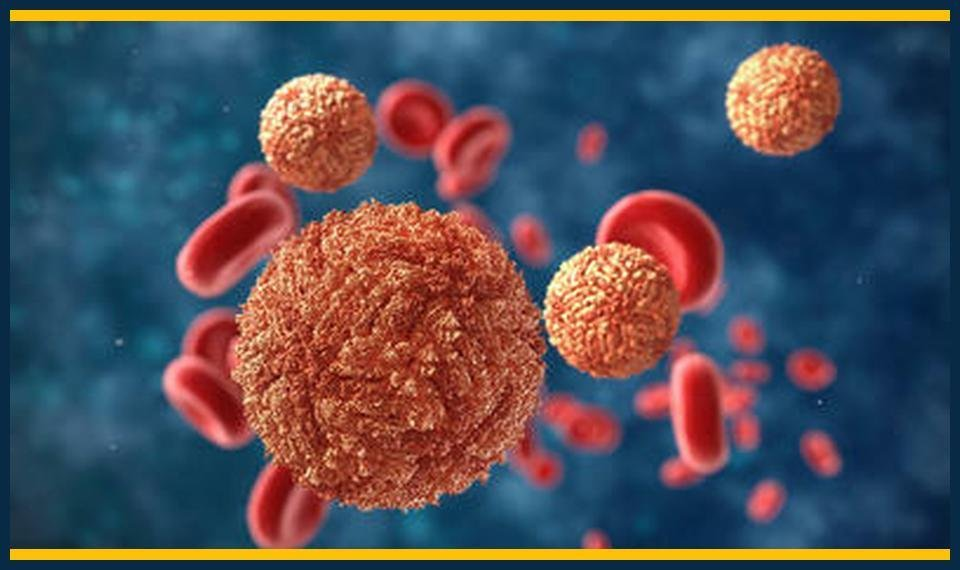 GCSE Biology Summer Masterclasses Islington Enrollment