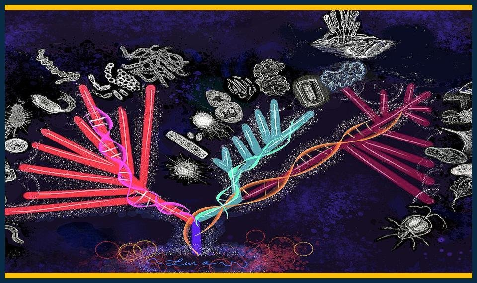 GCSE Biology Summer Masterclasses Knightsbridge Enrollment