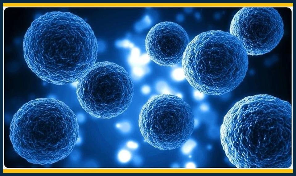 GCSE Biology Summer Masterclasses Mayfair Enrollment" or "Boost GCSE Biology Grades Summer Masterclasses Mayfair