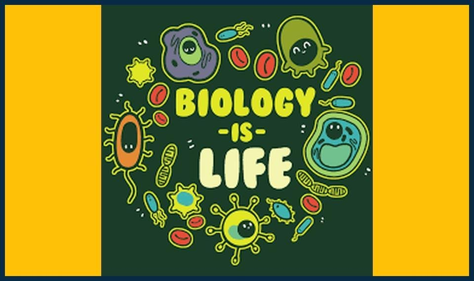 GCSE Biology Summer Masterclasses Ruislip Enrollment