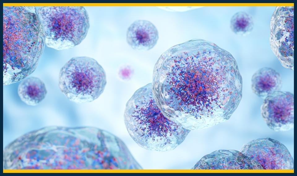 GCSE Biology Summer Masterclasses Southwark Enrollment