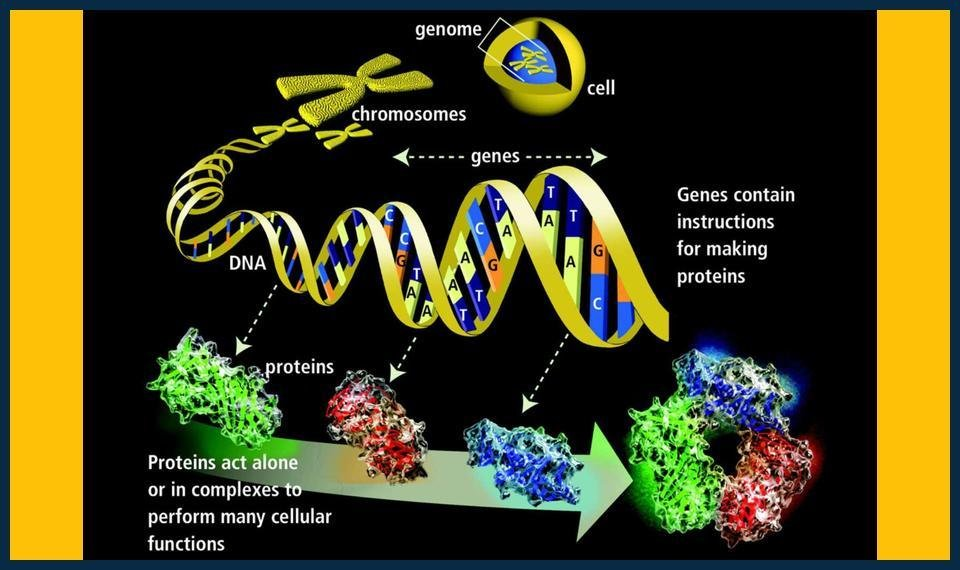 GCSE Biology Summer Masterclasses Wimbledon