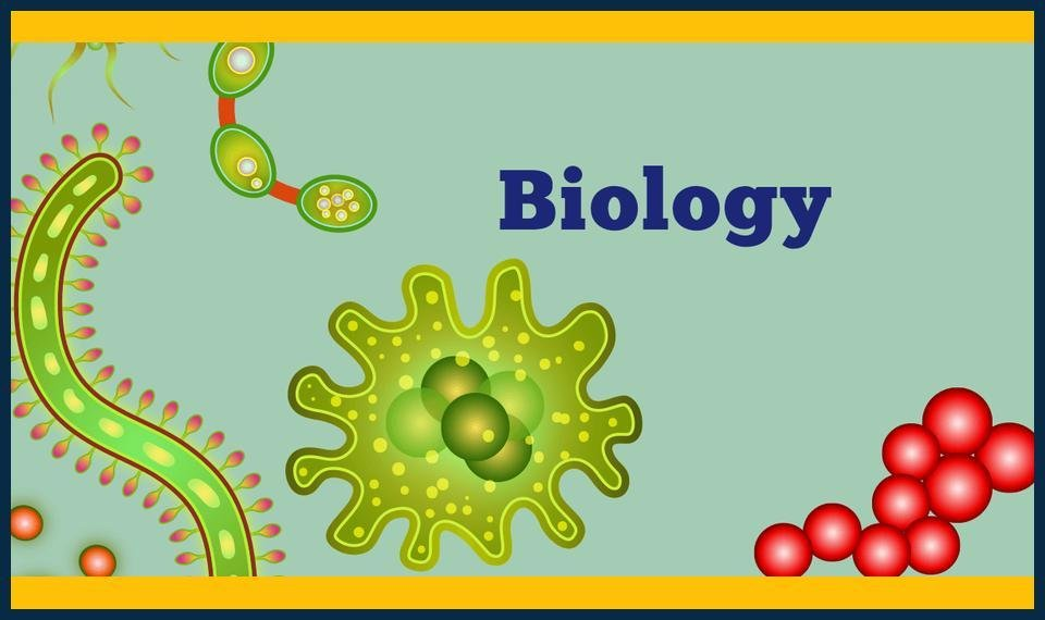 Summer GCSE Biology Masterclasses Biggin Hill