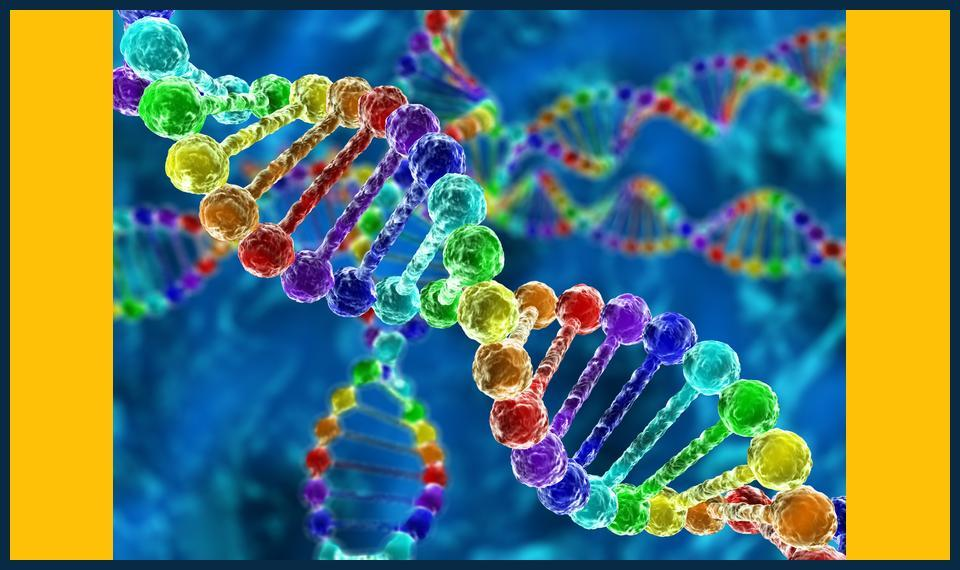 Top-biology-tutor-in-Redbridge-Achieve-Better-Grades-Fast.jpg