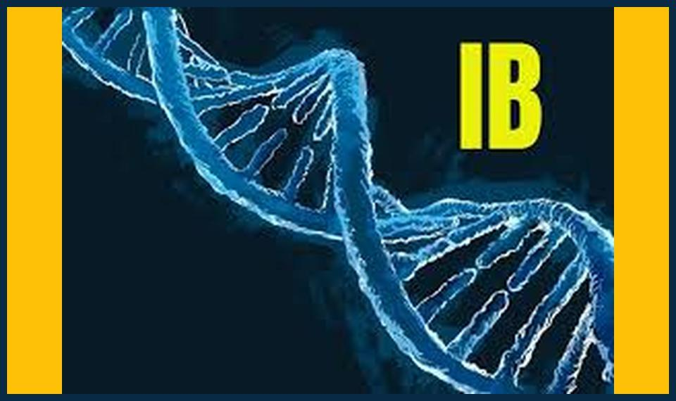 IB Biology Lab Report Guidelines" or "Preparing IB Biology Lab Reports