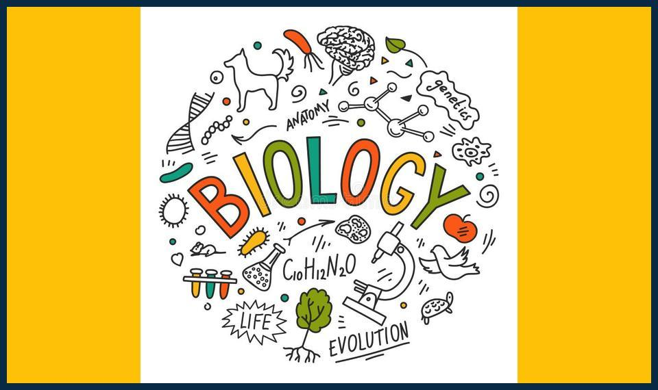 Why-biology-tutor-in-Bexley-Village-Is-the-Key-to-Exam-Success.jpg