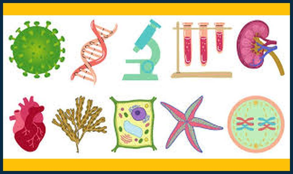 Why-biology-tutor-in-Chislehurst-Is-the-Key-to-Exam-Success.jpg