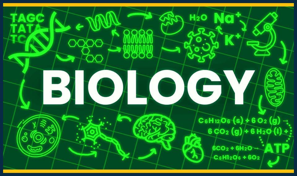 Why-biology-tutor-in-Sutton-Is-the-Key-to-Exam-Success.jpg