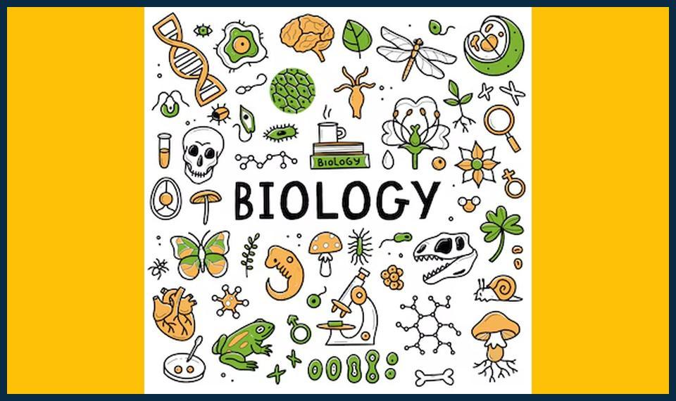 biology-tutor-in-Abbey-Wood-Village-Local-Tutor-Tips-for-Top-Marks.jpg