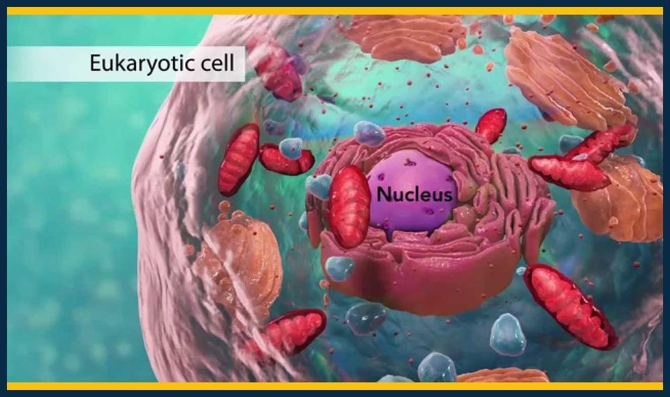 GCSE Biology Summer Tuition Twickenham