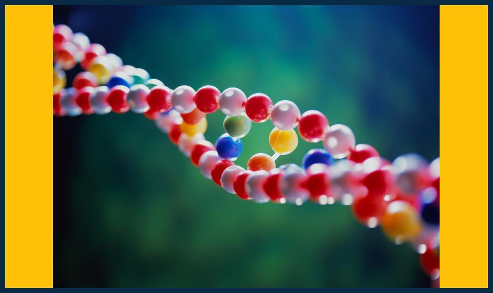 biology-tutor-in-New-Eltham-Local-Tutor-Tips-for-Top-Marks.jpg