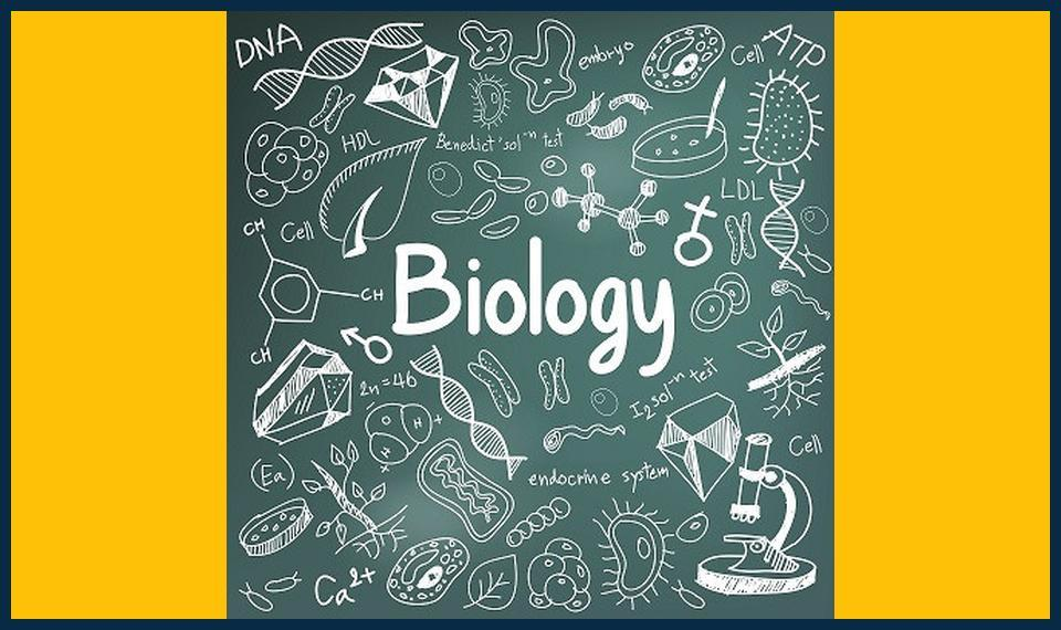 biology-tutor-in-Sutton-Local-Tutor-Tips-for-Top-Marks.jpg