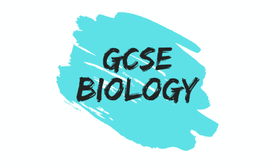 GCSE Biology Summer Masterclasses Twickenham